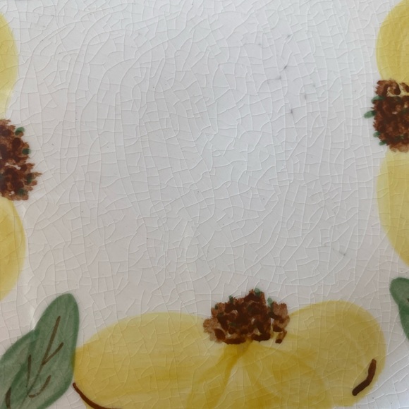 Vintage Blue Ridge Southern Potteries Dinner Plate - Picture 10 of 12